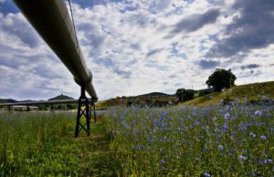 Geotermia: la Regione Toscana vara la nuova legge