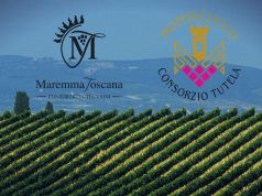 Il Consorzio Tutela Vini Montecucco a PrimAnteprima