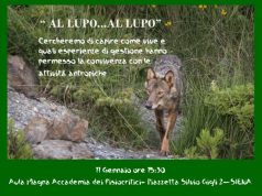 Legambiente organizza un incontro per parlare del lupo