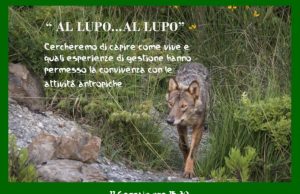 Legambiente organizza un incontro per parlare del lupo