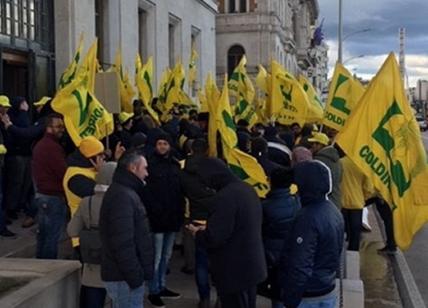 Olivocoltori toscani alla protesta contro la legge di stabilità