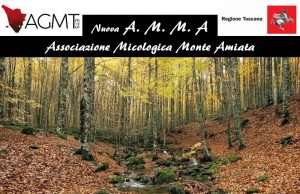 La rinata Associazione Micologica del Monte Amiata si riunisce in assemblea il 13 aprile