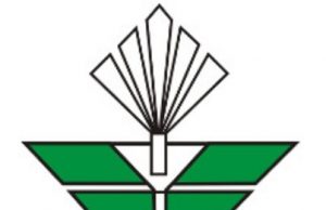 Il Consorzio per lo sviluppo delle aree geotermiche (CoSviG) cerca un nuovo direttore generale