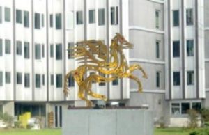 Geotermia fuori dagli incentivi del governo, Marchetti (FI) si rivolge alla Regione