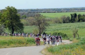 Greenfondo Paolo Bettini: nel segno del 22