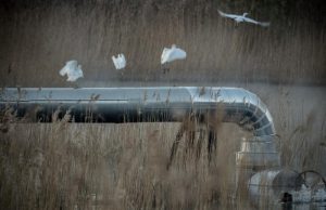 Moschi propone esplorazioni geotermiche a Saline