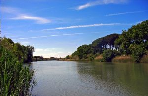 Contratto di fiume Val di Cornia, eccellenza toscana.