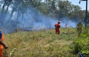 Toscana. Incendi boschivi, prorogato al 10 aprile il divieto assoluto di abbruciamento di residui vegetali e forestali