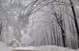 Il prato della Contessa: la leggenda di un amore tormentato