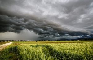 L’ondata di freddo danneggia le campagne.