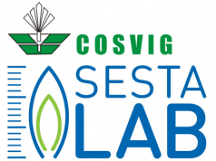 CoSviG SestaLab alla ricerca di due Project Engineer