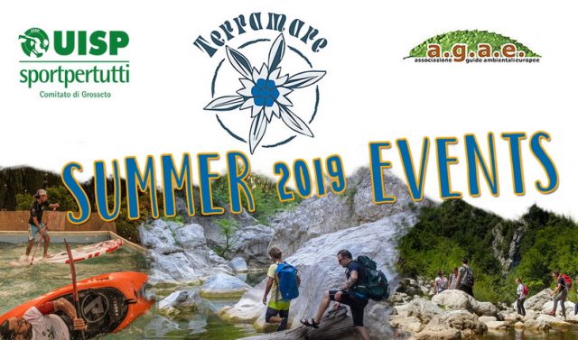 20190618081839-6a3ac078-me