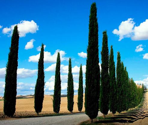 Val d'Orcia sito Unesco