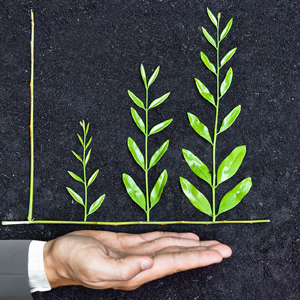 crescita-verde-sviluppo-sostenibile-economia-green-jobs