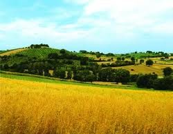 Approvati gli “standard minimi” del prodotto turistico: così i territori valorizzeranno le loro tipicità