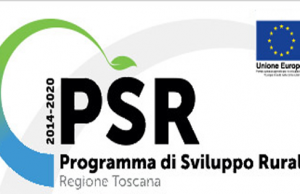 Fondi Europei, alla Toscana nuovo premio di 57 milioni di euro per il Programma di Sviluppo Rurale