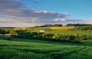Attività agrituristica: 2 corsi a Grosseto e Castagneto Carducci
