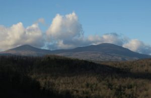 Gran galà di agosto per le Sezioni Soci di Coop Amiatina