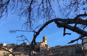 Musica e letteratura si incontrano nella suggestiva cornice del Parco della Peschiera di Santa Fiora
