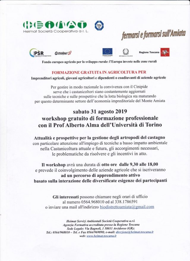 67732831_1357007884480279_8754967812700635136_n