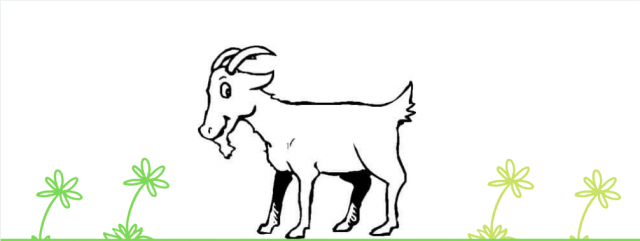 69122373_1960309250735448_283067971490807808_o