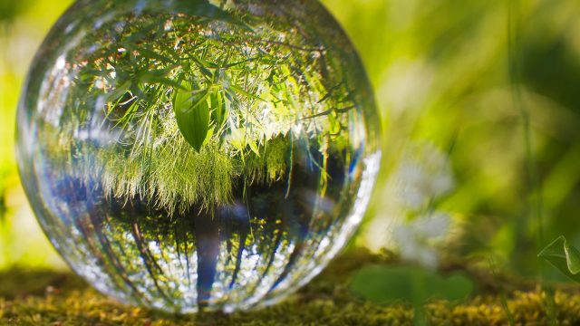 9aa0a1fb-4cff-43da-b1a7-7f2678e656b4_xl