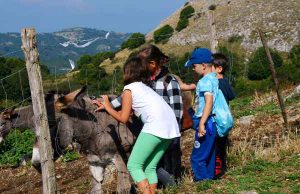 Diabete pediatrico: in Maremma il campo scuola della Asl per imparare a gestirlo
