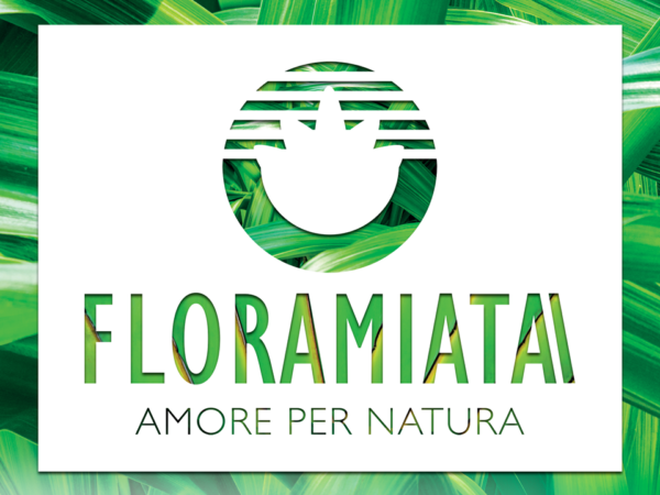 Diapositiva7-600x450