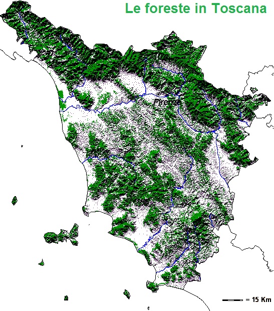 Foreste-in-Toscana