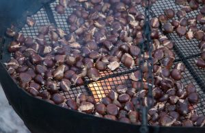 #AmiatAutunno: un viaggio tra gusto e tradizione in una Toscana ancora tutta da scoprire