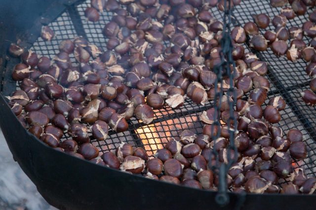 cb2bfcb5fc6a482498d6c1f9c1eaf423