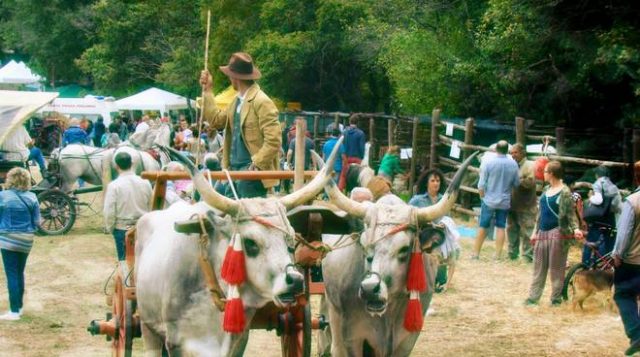 fiera-travale-fb-206066.660x368