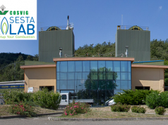 CoSviG assume due Project Engineer per SestaLab