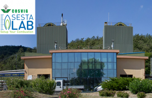 CoSviG assume due Project Engineer per SestaLab