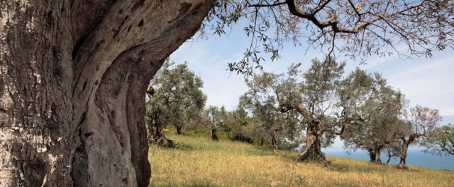 20191023115856-f0d22f05-me