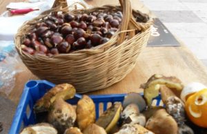 #AmiatAutunno: un viaggio fatto di buon cibo e bellezza