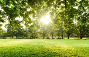 MISE: Al via il Programma di efficientamento energetico per gli immobili della PA centrale