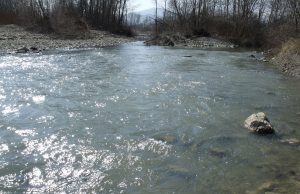 Mercurio nel Paglia-Tevere, il contributo delle centrali geotermiche «è del tutto trascurabile»