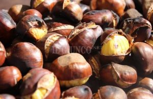 A Montieri cibo e teatro con Il MangiaCultura e l’autunno in tavola