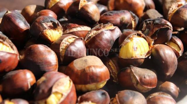 castagne-2017-193585.660x368