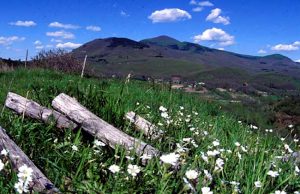 Amiata, dal bilancio 500mila euro per l’attrattività turistica. Bezzini (Pd): ”Misura importante e attesa”