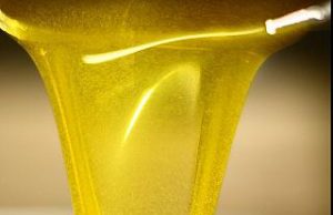 Le straordinarie doti dell’olio pomarancino