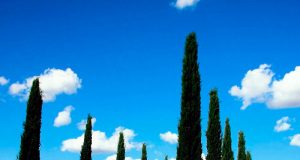 Prodotto turistico omogeneo, approvati standard minimi e procedura