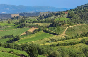 Distretto Biologico della Val di Cecina al via