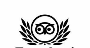 Turismo geotermico: a MUBIA e Biancane il premio Travellers’ Choice 2021 di Tripadvisor