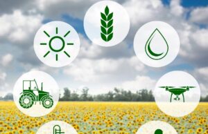 Estesi al 2022 i bandi PSR FEASR 2014-2020 per le imprese agricole